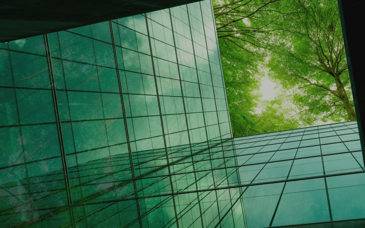 Glass building with trees above, seen from below