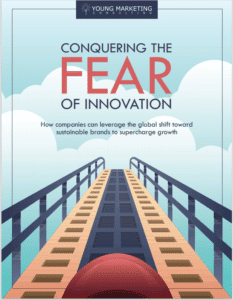 Conquering the Fear of Innovation White Paper Cover showing rollercoaster illustration going up tracks towards peak